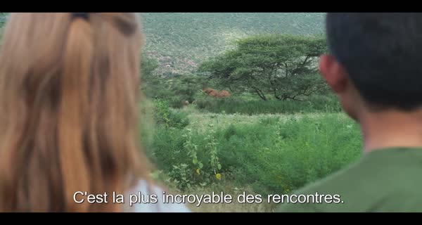 bande-annonce Animal