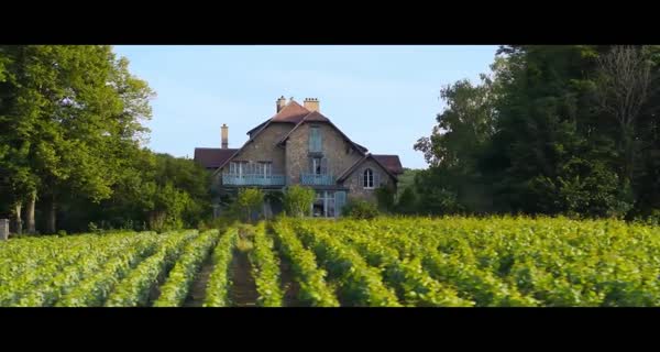 bande-annonce Champagne !