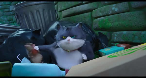 bande-annonce Croquette le chat merveilleux