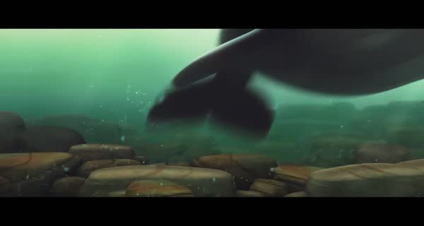 bande-annonce Katak: The Brave Beluga