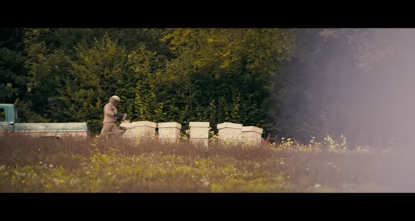 bande-annonce The Beekeeper