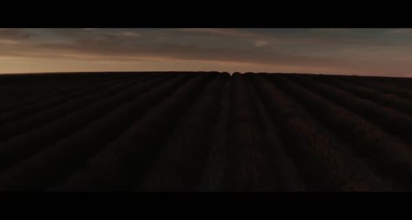 Valensole 1965